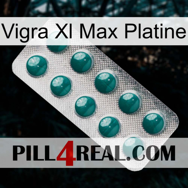 Vigra Xl Max Platinum dapoxetine1
